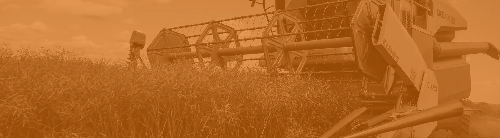 Our PP&E Valuation Case Studies